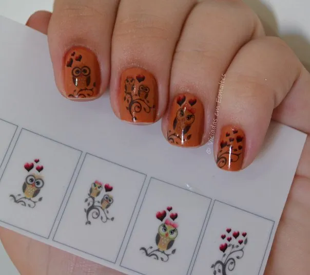 Película para Unhas com Coruja