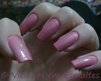 colonial1 unhas