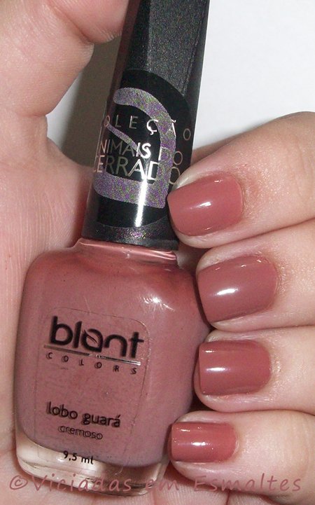 lobo guara blant colors esmaltes blant colors animais do cerrado